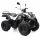  Shineray 250cc ATV Fyrhjuling med Drag, Dragkula