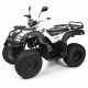 Shineray ATV Quad 250cc, with Towbar